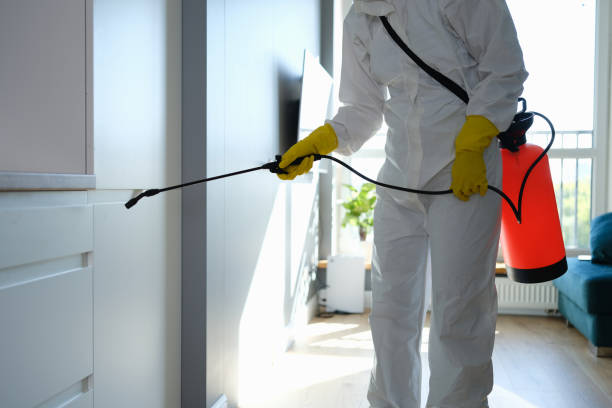 Omaha, TX Mold Inspection, Removal & Remediation Company